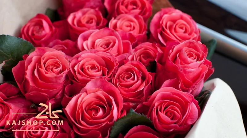 گل برای همکارخانم